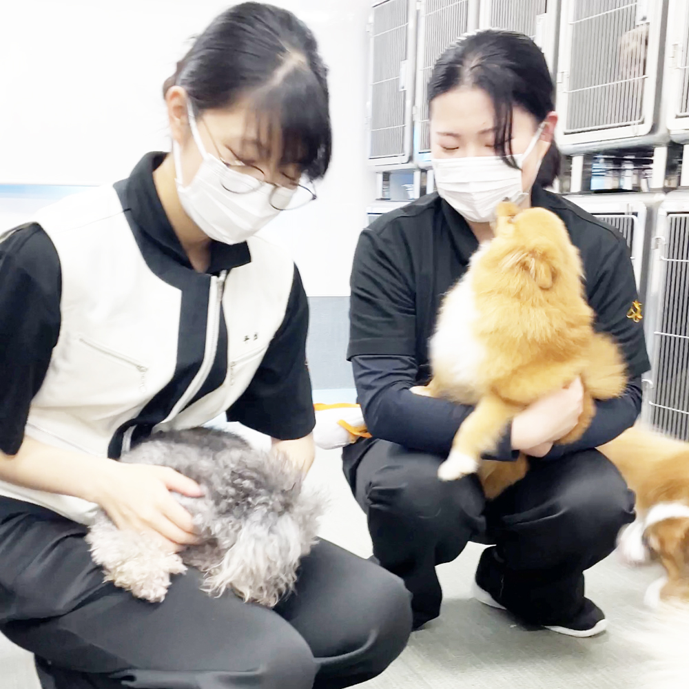 Ｗａｎ活の生徒とお散歩☆